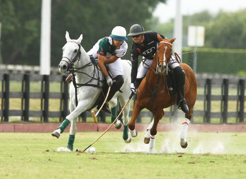 Photos-National 20-goal-11-15-13 Audi and Palm Beach Equine
