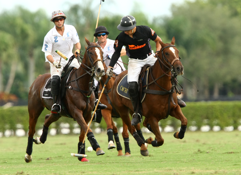 alexpachecopolomagazinethepolousapolocuppoloplayerpoloteamphotos 2